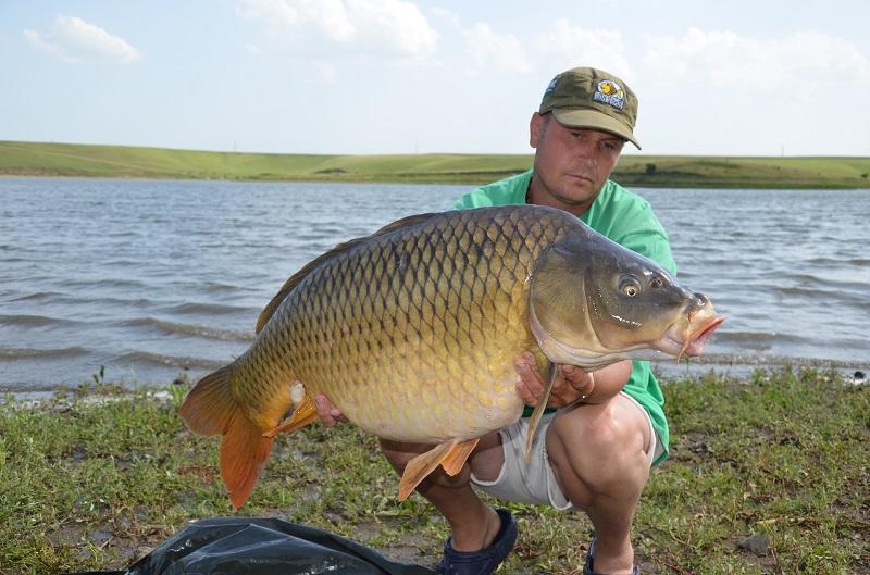 CUPA BECKER SARULESTI - pescuit-crap-sarulesti-7.JPG